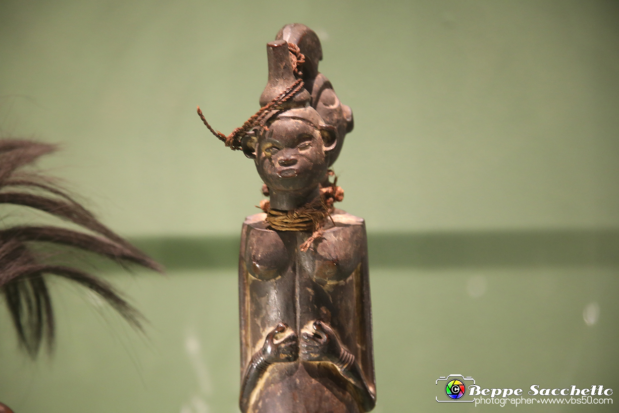 VBS_5396 - Africa - Le collezioni dimenticate.jpg